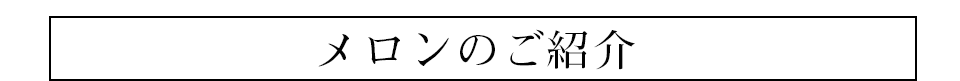 赤肉メロン紹介