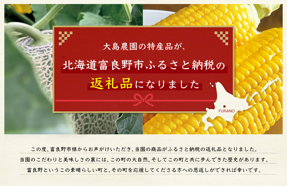 ふるさと納税